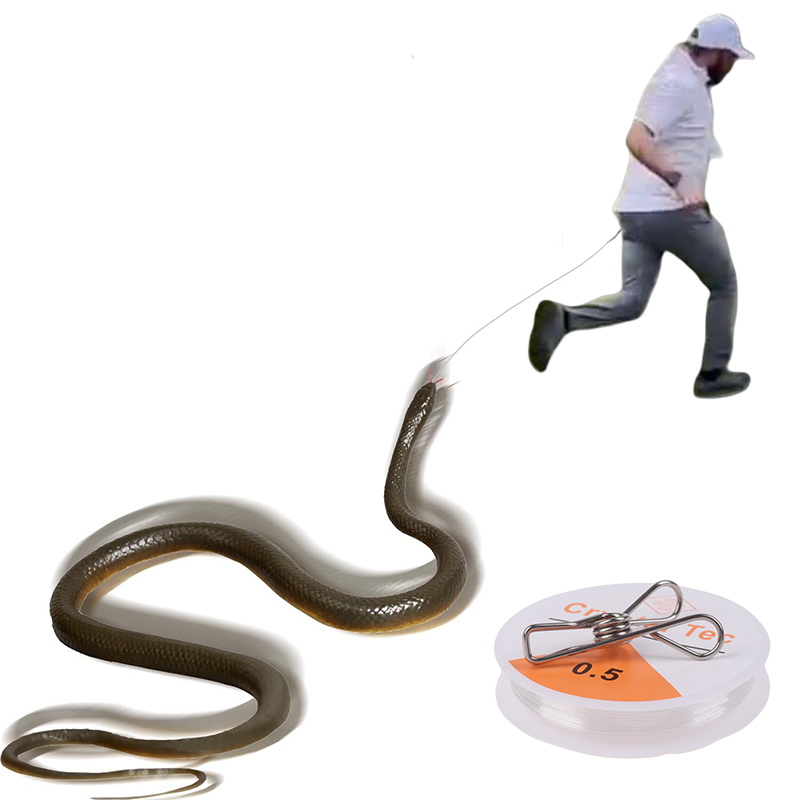 Outdoor Snake Prank with Strin - Prank Toys recension och pris