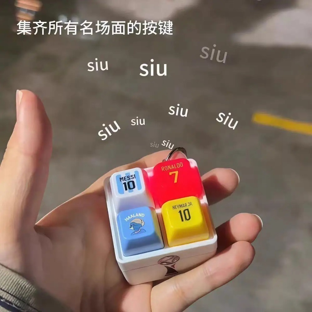 Haaland Fun Button Keychain So - Prank Toys recension och pris